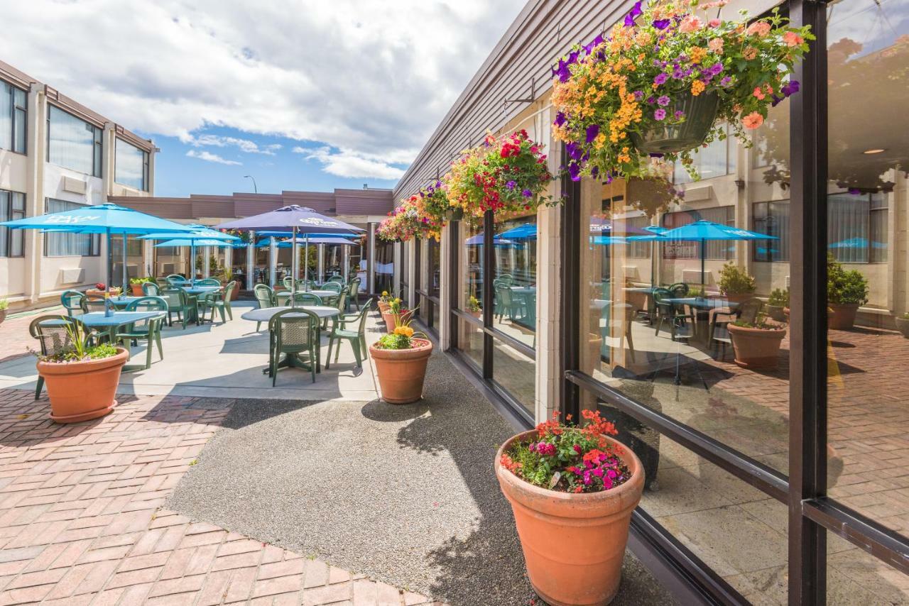 Coast Discovery Inn Кембъл Ривър Екстериор снимка